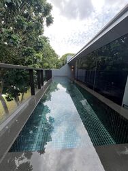 Cove Drive (D4), Terrace #441547671